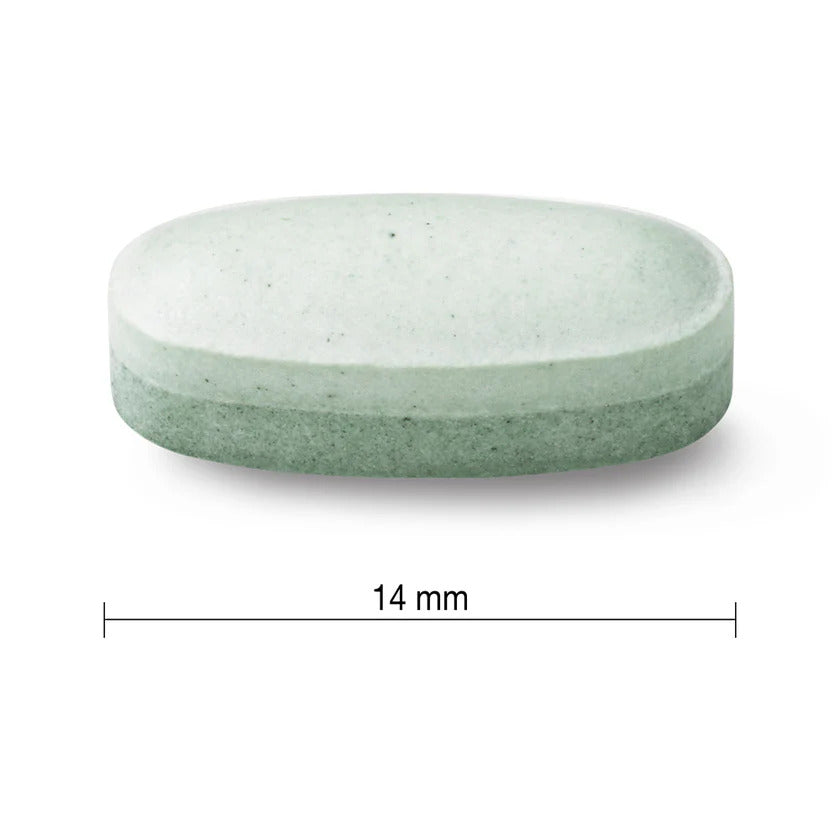 Jamieson Melatonin 10mg Mint Flavor Fast Dissolve