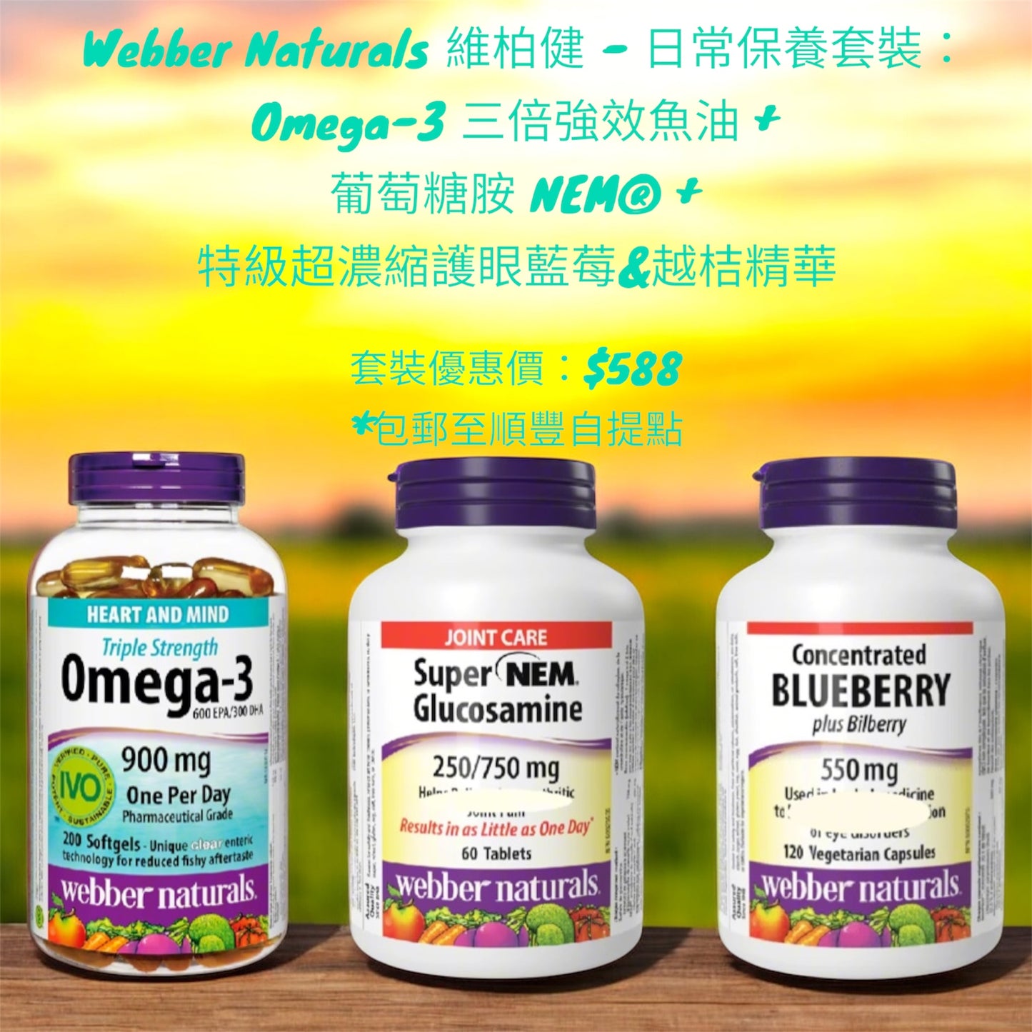 Webber Naturals - Daily Care Set: Omega-3 Triple Strength Fish Oil + Glucosamine NEM® + Ultra-Concentrated Eye Care Blueberry &amp; Bilberry Extract